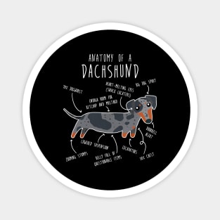 Blue Dapple Dachshund Dog Anatomy Magnet